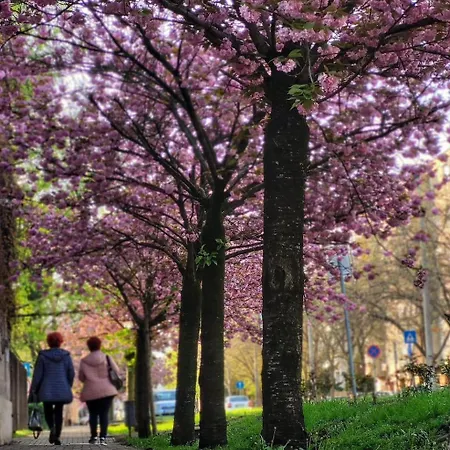 Szent Anna Vendeghaz Lejlighed