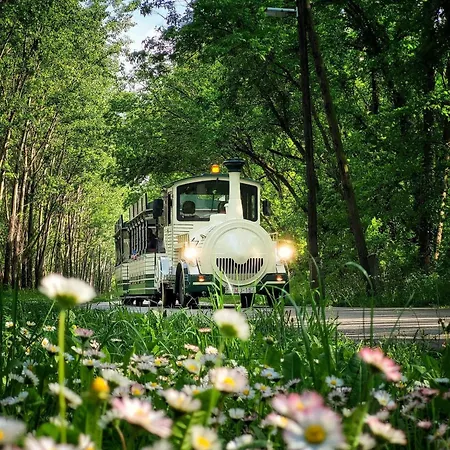 Szent Anna Vendeghaz Lejlighed Makó