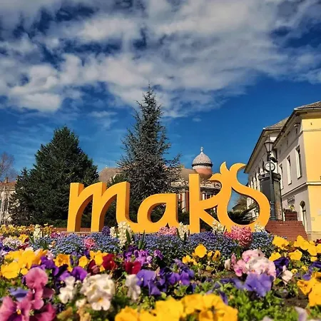 Szent Anna Vendeghaz Makó